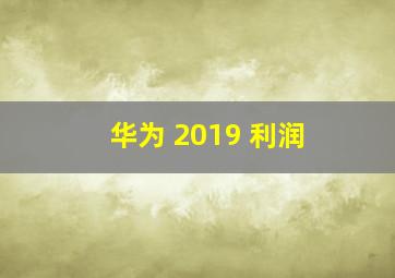 华为 2019 利润